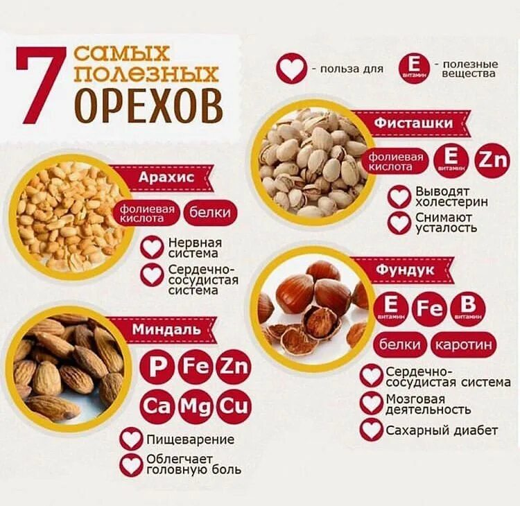 Польза орехов фото Pin by AL on Coffee Food, Dog food recipes, Food animals