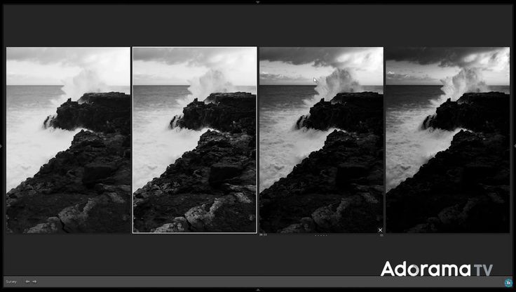 Поменять черное на белом фото 7 Steps for Advanced Black and White Editing in Adobe Lightroom Fstoppers Photos