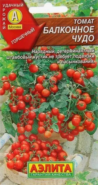 Помидор балконное чудо фото отзывы описание Семена Томат Балконное чудо 20 шт - купить семена Томат Балконное чудо 20 шт в П