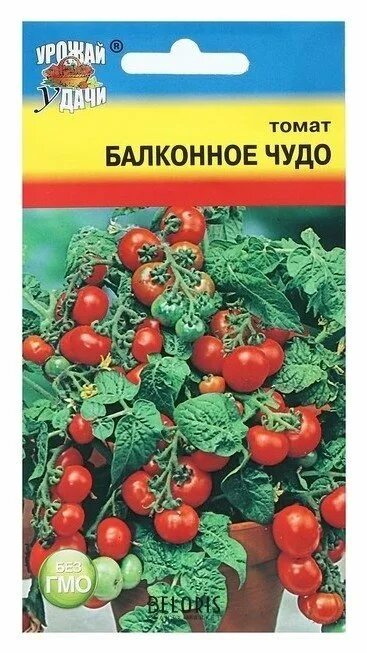 Помидор балконное чудо фото отзывы описание Семена томат "Балконное чудо", 0,1 г Урожай уДачи 1000716595 купить от 34 руб. в