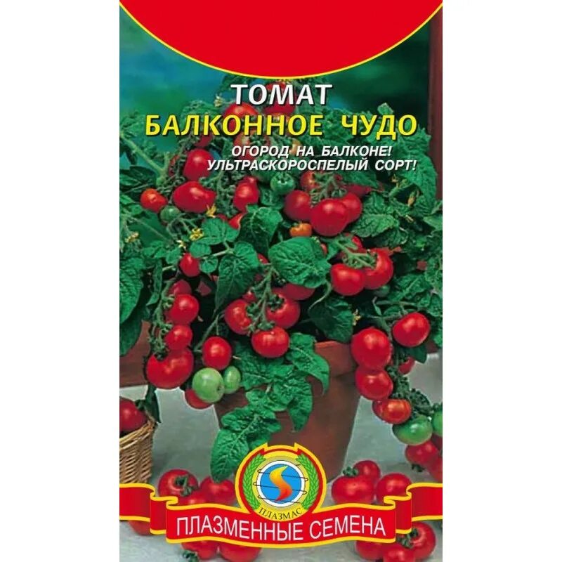 Помидор балконное чудо фото отзывы описание Томат Балконное чудо (ЕвроСемена) Б - купить в интернет-магазине.