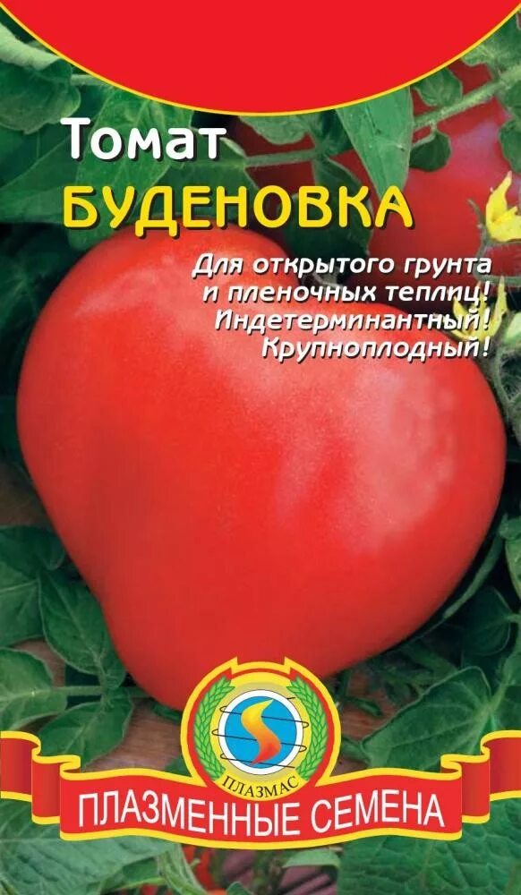 Помидор буденовка описание фото отзывы Томат Буденовка - с бесплатной доставкой можно купить в интернет магазине семян