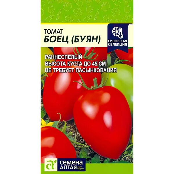 Помидор буян фото Томаты Семена Алтая Буян Боец - купить по выгодным ценам в интернет-магазине OZO