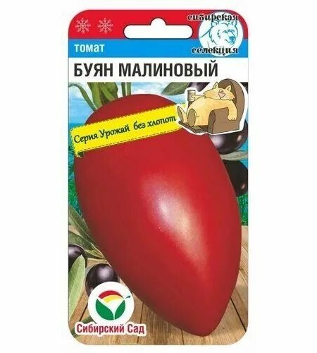 Помидор буян описание сорта фото Сибирский сад 63310 - купить по выгодным ценам в интернет-магазине OZON (8724930