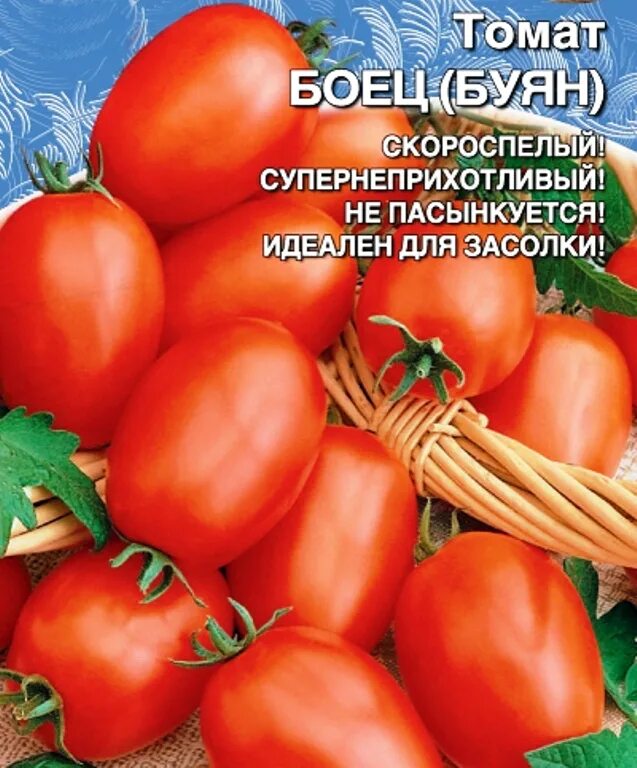 Помидор буян описание сорта фото Семена Томат Боец (Буян): описание сорта, фото - купить с доставкой или почтой Р