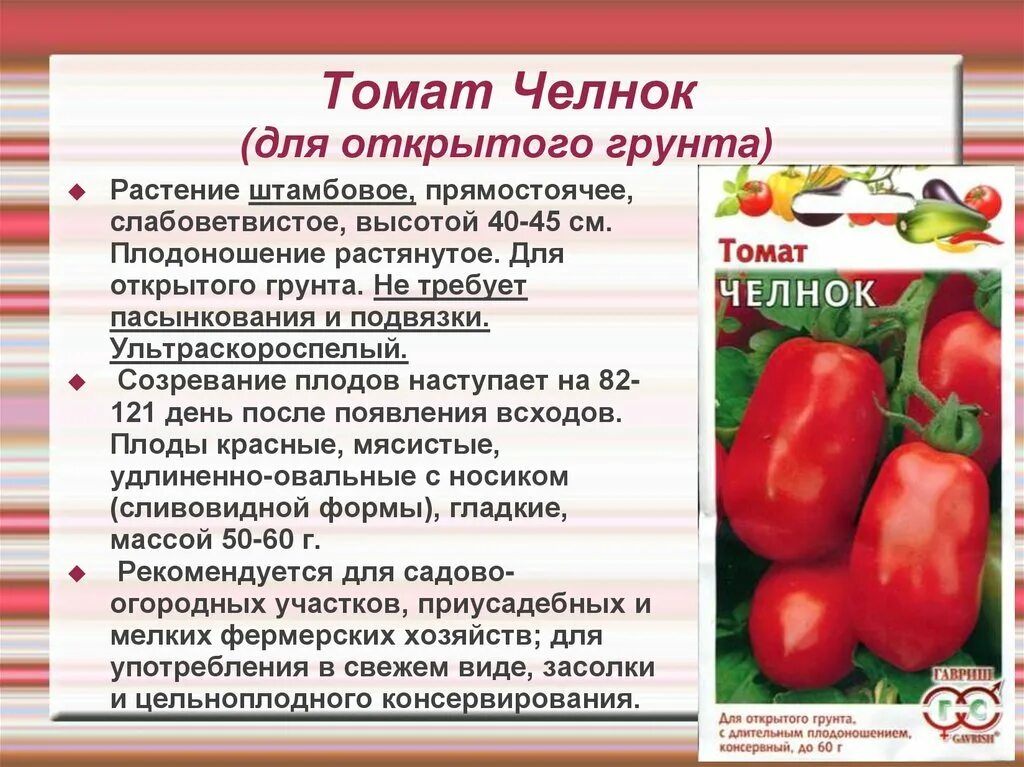 Помидор челнок описание фото Томат челнок характеристика и описание отзывы урожайность