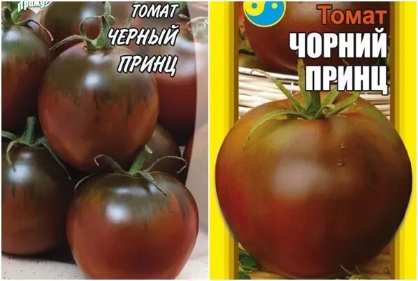 Помидор черный принц фото и описание ✅ Tomato Black Prince: characteristics and description of the variety, yield and