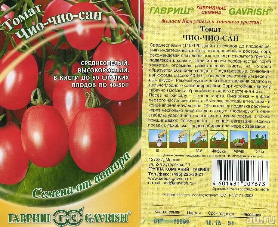 Помидор чио чио сан фото Выбираю НЕ круглые томаты черри для открытого грунта. Краткий обзор 11+ сортов. 