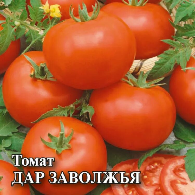 Помидор дар заволжья описание фото ✔ Семена Томат Дар Заволжья, 25г, Гавриш, Фермерское подворье по цене 423,20 руб