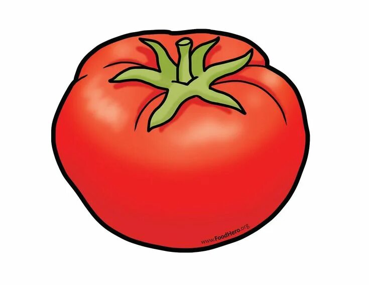 Помидор фото для детей Tomates Food Hero recursos educativos Vegetable cartoon, Vegetable drawing, Cute