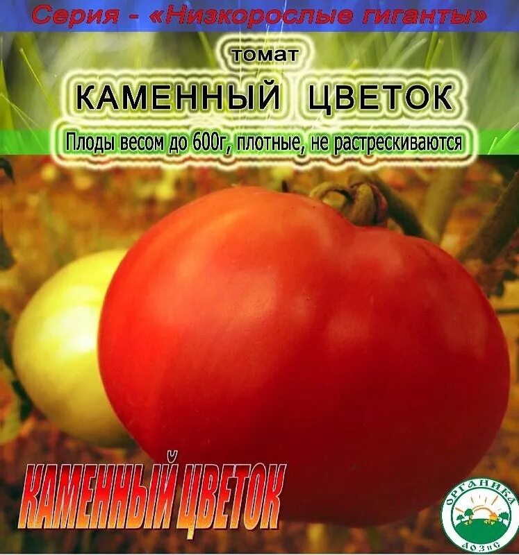 Помидор каменный цветок описание отзывы фото Сорт томата джалпа фото