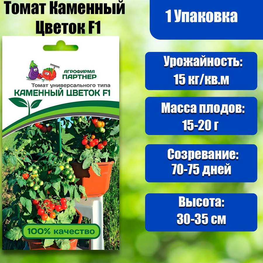 Помидор каменный цветок описание отзывы фото Семена Помидор Каменный Цветок купить на OZON по низкой цене