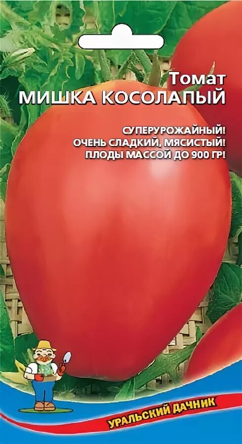 Помидор мишка косолапый описание отзывы фото Томат мишка косолапый: разновидности, описание, правила агротехники, выращивание