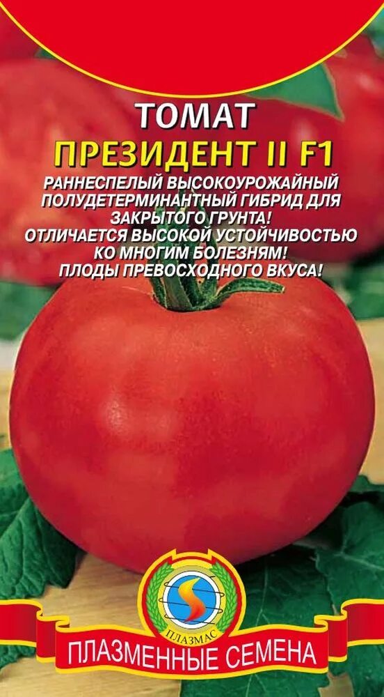 Помидор президент описание сорта фото Томат Президент 2 F1 (раннеспелый, высокоурожайный полудетерминантный гибрид для