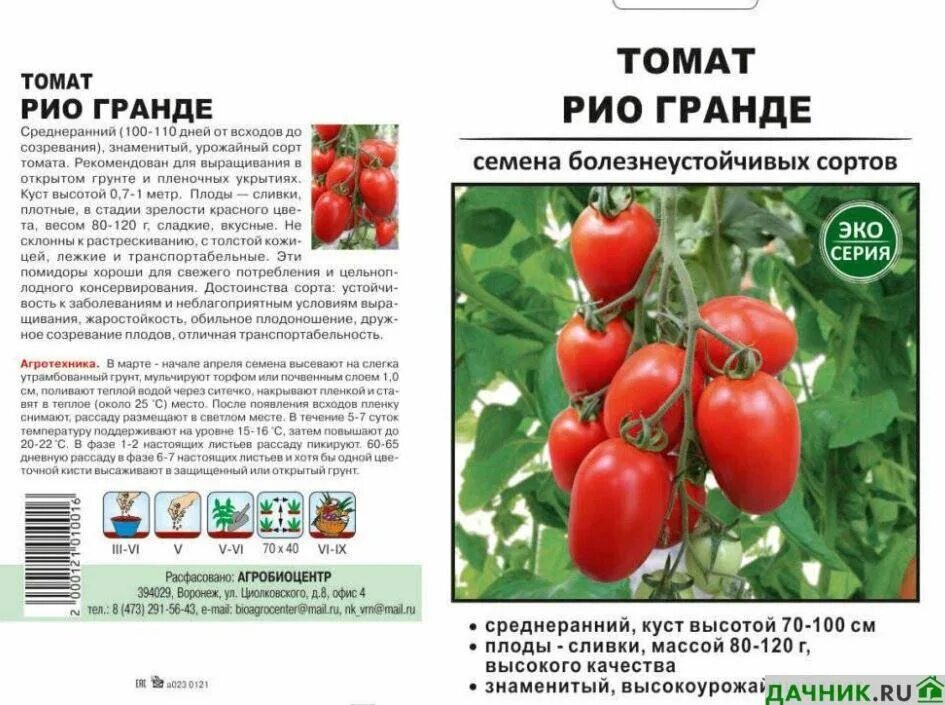 Помидор рио гранде фото Сорта томатов для консервирования и засолки Дачник.RU Дзен