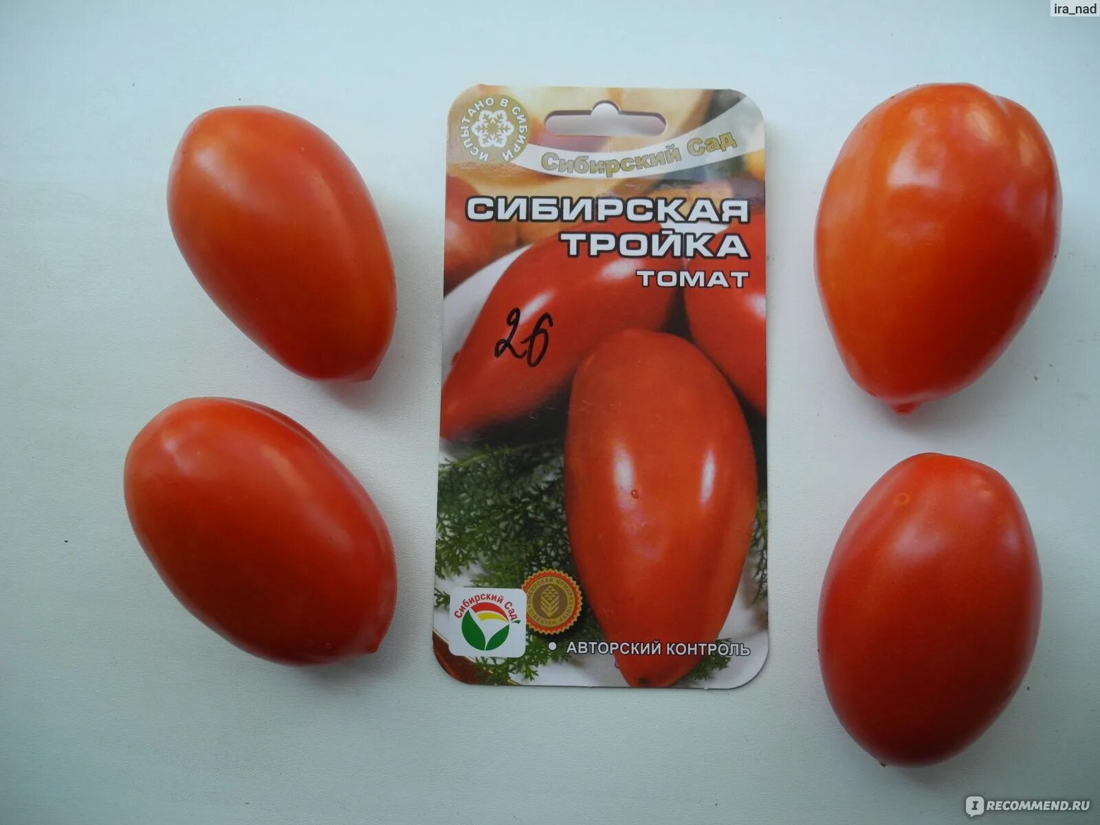 Помидор сибирская тройка фото Семена томата Сибирская тройка, Сибирский сад - "Лучший сорт помидор для консерв