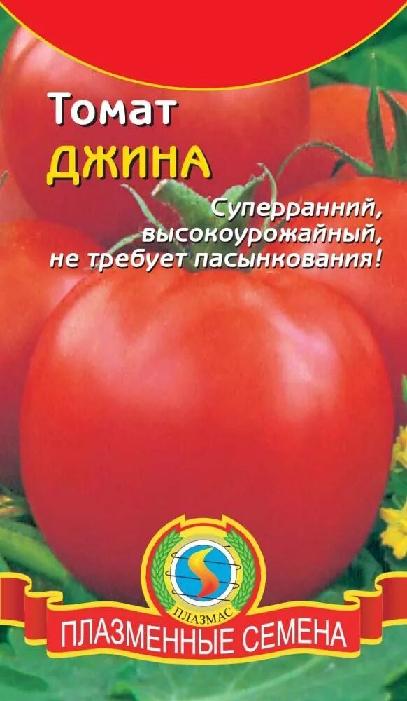 томат джина: описание и характеристика сорта, урожайность, отзывы того кто сажал