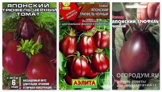 Помидор сорт японский трюфель фото описание Томат японский трюфель: описание сорта, отзывы, фото