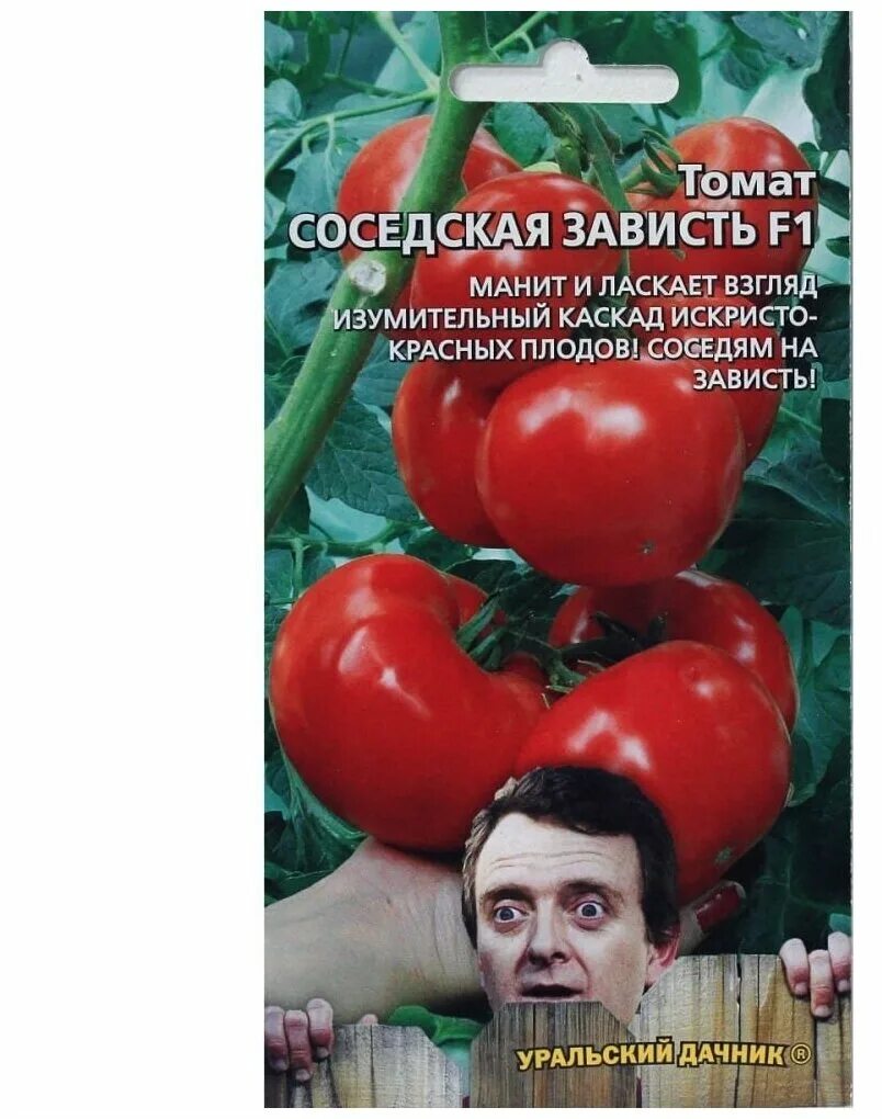 Помидор соседская зависть фото Томат семена Уральский дачник Соседская зависть - купить в интернет-магазине по 