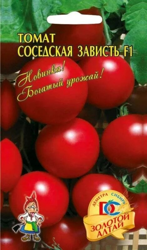 Помидор соседская зависть фото Томат Соседская зависть F1: характеристика и описание гибридного сорта с фото