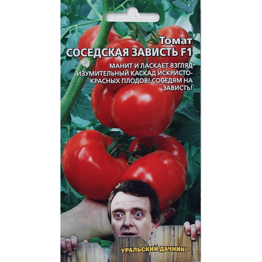 Помидор соседская зависть описание сорта фото Семена Уральский дачник Томат Соседская зависть 12 шт. 43218 цены, отзывы, доста