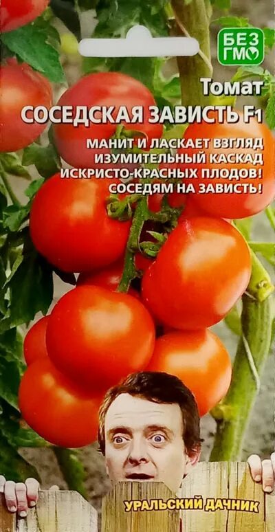 Помидор соседская зависть описание сорта фото Томат Соседская зависть (Уральский дачник) купить семена с бесплатной доставкой