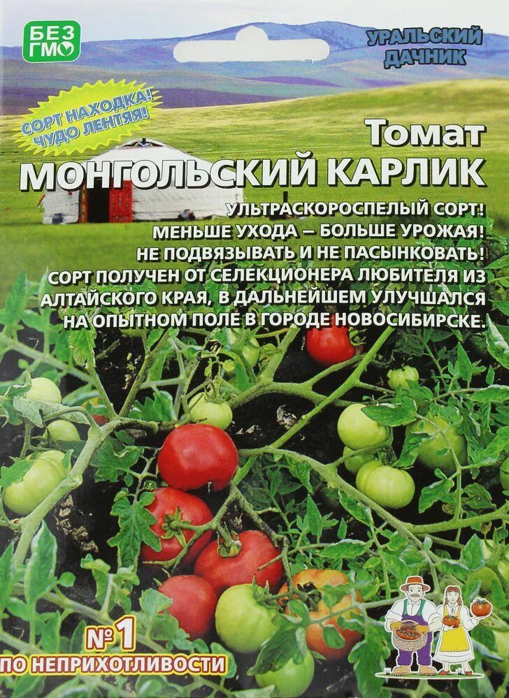 Помидор уральский дачник описание и фото Томаты Уральский дачник монгол_красный - купить по выгодным ценам в интернет-маг