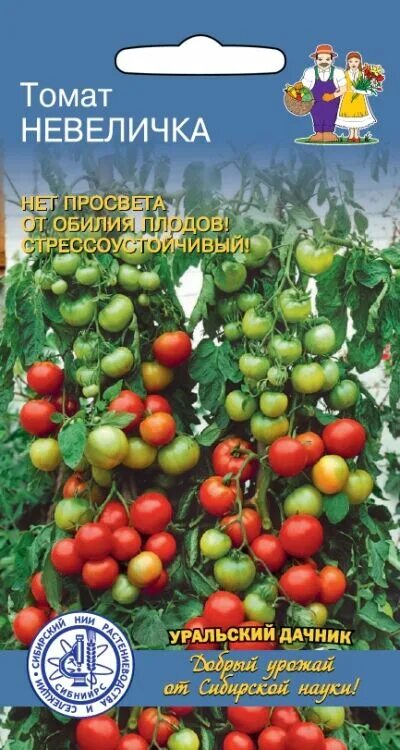 Помидор уральский дачник описание и фото Уральский дачник / Томат Невеличка (УД) Новинка!!! Томаты. Распродажа остатков с