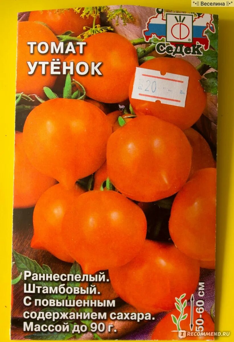 Помидор утенок описание сорта фото отзывы Семена Томат "Утёнок" "Седек" - "Смешные утята на вашей грядке порадуют детей. Б