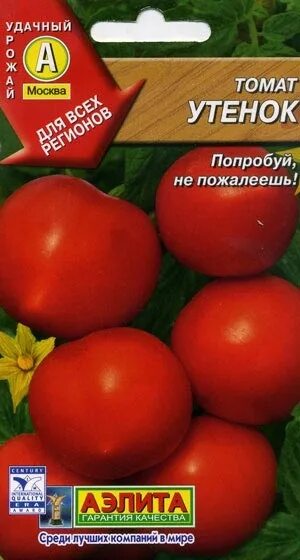 Помидор утенок описание сорта фото отзывы Семена оптом, семена в розницу; лук севок оптом, лук севок в розницу; Семена и С