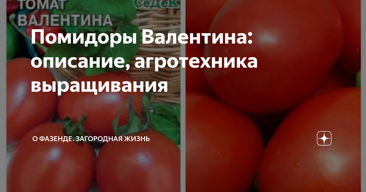 Помидор валентина описание фото Помидоры Валентина: описание, агротехника выращивания О Фазенде. Загородная жизн