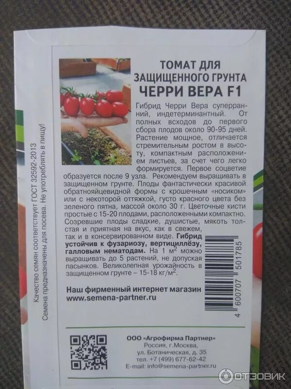 Помидор верочка описание отзывы фото Отзыв о Семена томата Партнер "Черри Вера" вкусные- настоящие черри