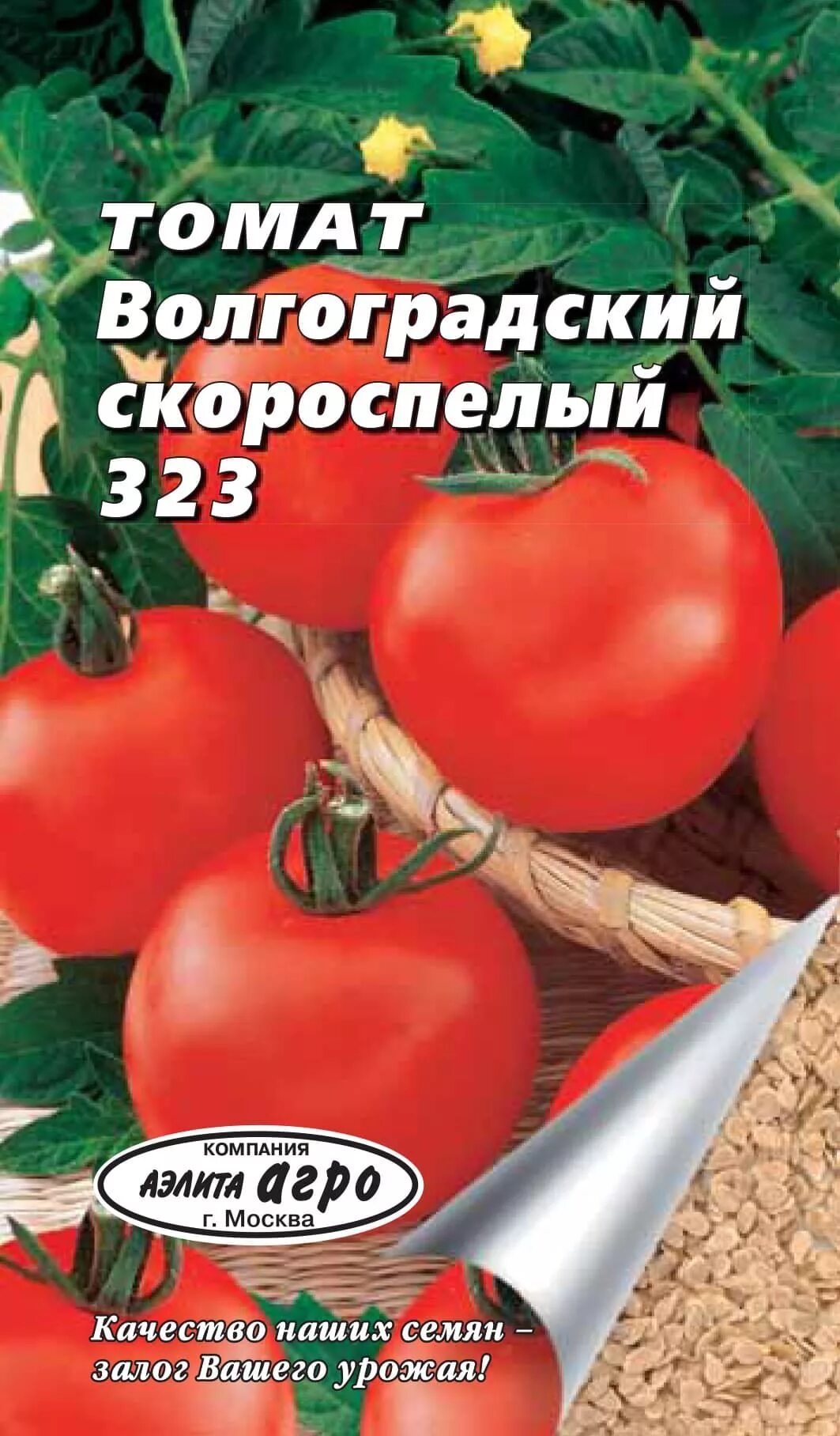 Помидор волгоградский скороспелый фото Томаты волгоградские фото: найдено 82 картинок