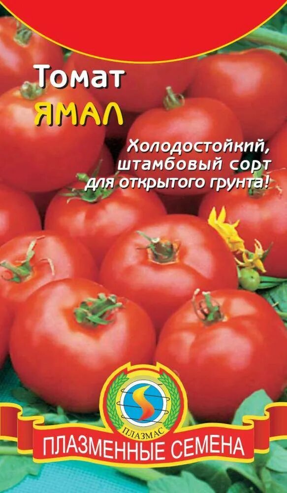 Помидор ямал описание фото Томат Ямал ПЛ купить по цене от 15 руб в Орле