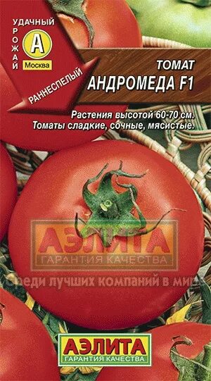 Помидора андромеда фото Томат Андромеда F1 Ц/П в Томске - купить по лучшей цене 28.50 руб. в интернет-ма