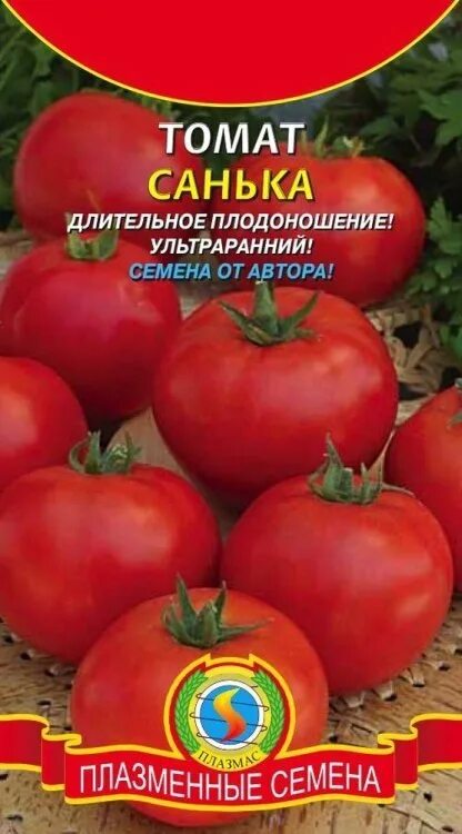 Помидора санька фото отзывы садоводов Семена Томат Санька: описание сорта, фото - купить с доставкой или почтой России