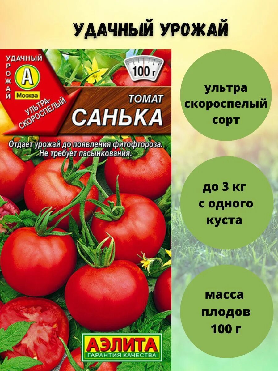 Помидора санька фото отзывы садоводов Томаты Агрофирма Аэлита Томат - купить по выгодным ценам в интернет-магазине OZO