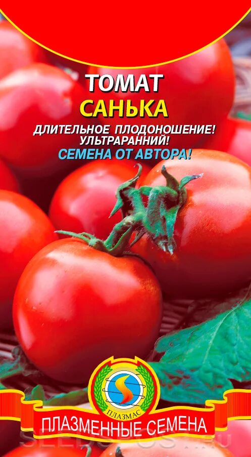 Помидора санька фото отзывы садоводов Томат Санька, 0,1 г Семена от автора, купить в интернет магазине Seedspost.ru