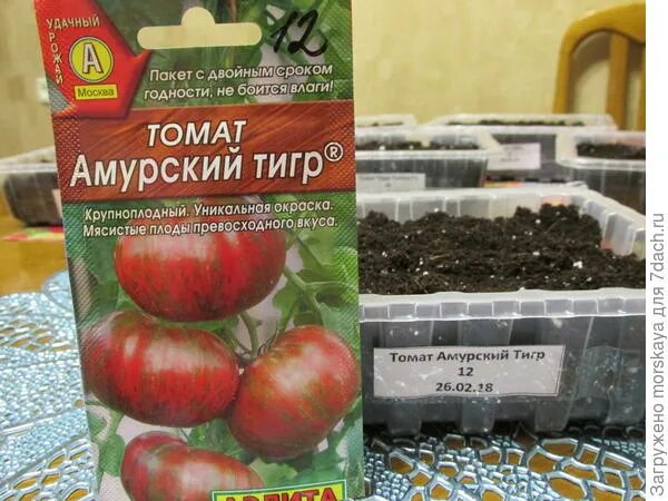 Томат Амурский Тигр 20шт #Аэлита