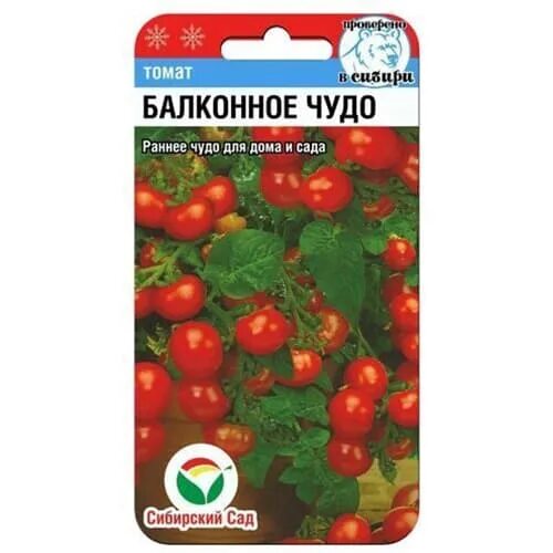 Помидоры балконное чудо фото Томат Балконное чудо Сибирский сад (97163): купить семена почтой в России интерн