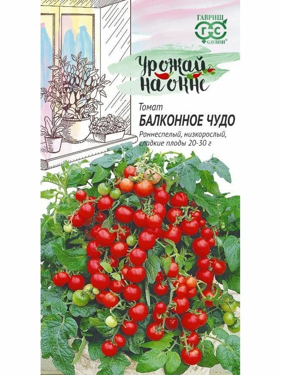 Помидоры балконное чудо фото Семена Томат Балконное чудо, 0.05г Гавриш 176253324 купить за 99 ₽ в интернет-ма