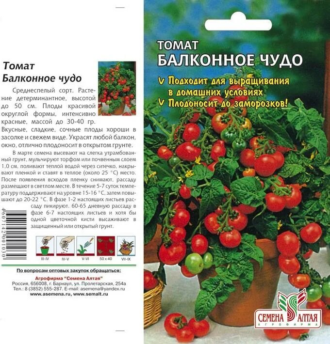 Помидоры балконное чудо описание сорта фото отзывы Томат Балконное Чудо/Сем Алт/цп 0,1 гр. Цена за 2 пакетика. Семена овощей