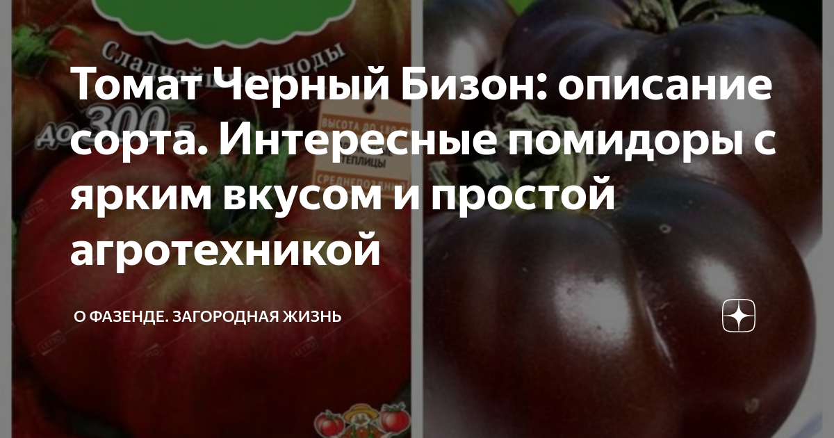 Томат Черный Бизон: описание сорта. Интересные помидоры с ярким вкусом и простой