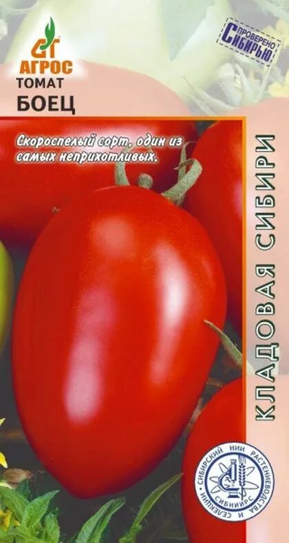 Помидоры боец описание сорта фото Семена Томат Боец: описание сорта, фото - купить с доставкой или почтой России