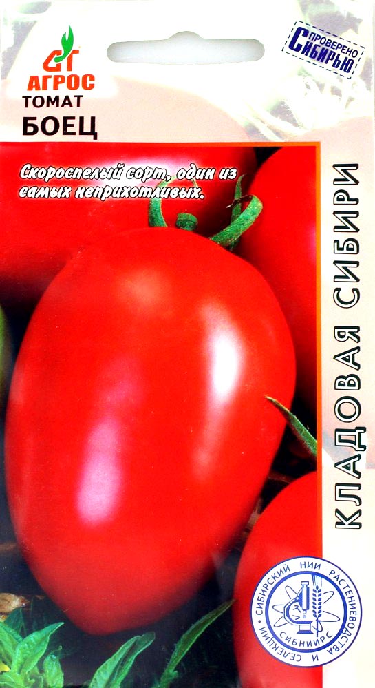 Помидоры боец описание сорта фото Томат Боец 0,08 гр. купить оптом в Томске по цене 30,02 руб.