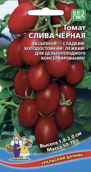 Помидоры чернослив фото Томаты Уральский дачник Томат - купить по выгодным ценам в интернет-магазине OZO