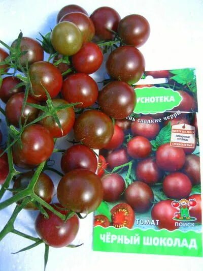 Помидоры черный шоколад описание сорта фото Томат Черный шоколад Tomato, Vegetables, Food