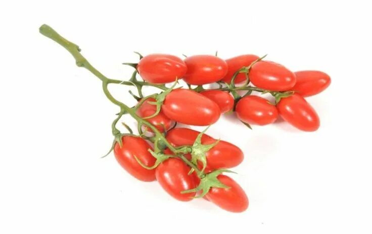 Помидоры черри отзывы фото Artificial Tomatoes Cherry Tomatoes Bunch Plastic Fake Vegetables Food Ornament 