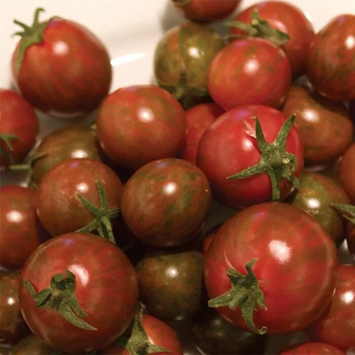 Помидоры чили фото Zebra Cherry Hybrid Tomato, Cherry/Grape Tomato Seeds: Totally Tomatoes Tomato, 