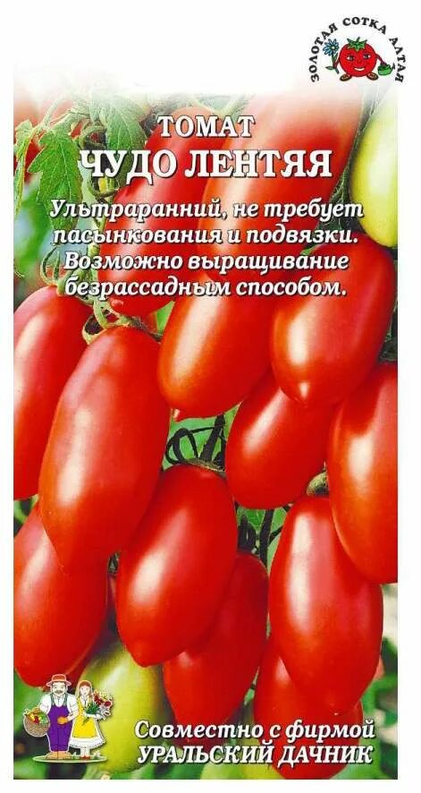 Помидоры чудеса описание сорта фото отзывы Семена томат Золотая сотка Алтая Чудо лентяя 19603 1 уп. - отзывы покупателей на